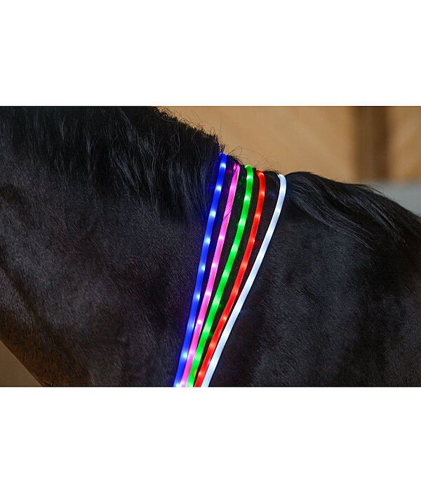 LED-Light Neck Strap for Horses