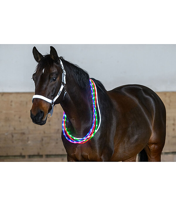 LED-Light Neck Strap for Horses