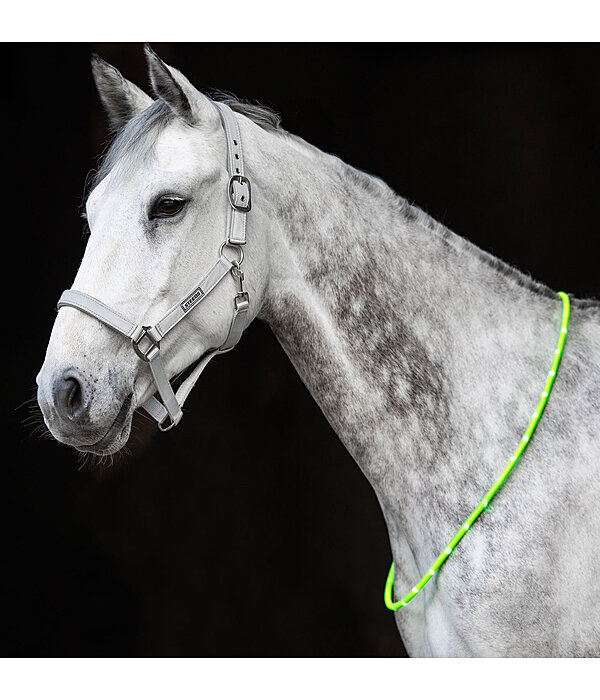 LED-Light Neck Strap for Horses