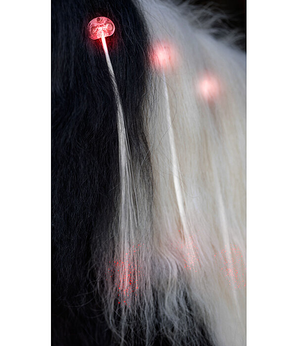 LED-Mane and Tail Clip