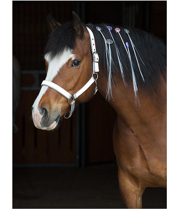 LED-Mane and Tail Clip