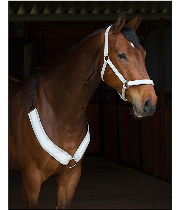 Hi-Vis Headcollar Shiny