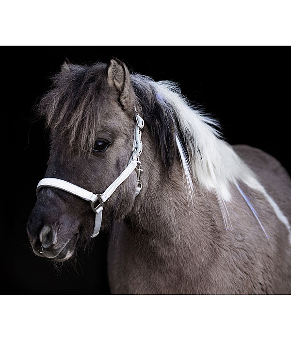 Hi-Vis Headcollar Shiny