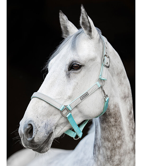 Hi-Vis Headcollar Shiny