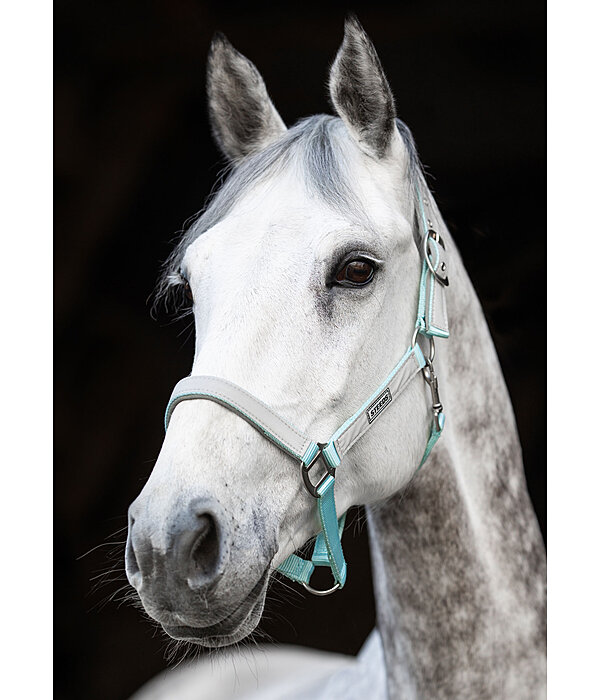 Hi-Vis Headcollar Shiny