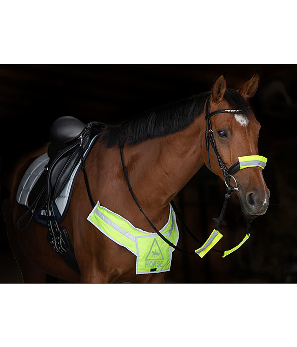 Hi-Vis Breastplate