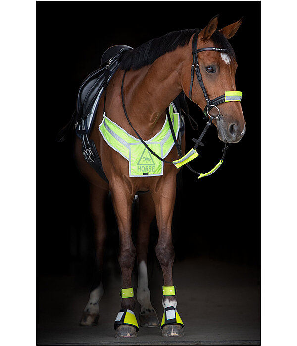 Hi-Vis Breastplate