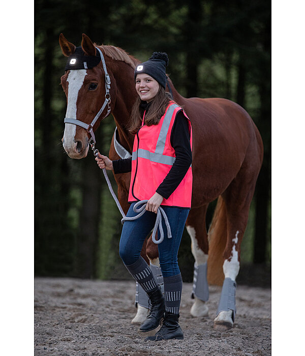 LED Head Lamp for Horses