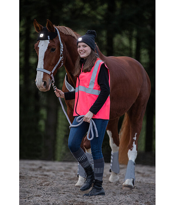 LED Head Lamp for Horses