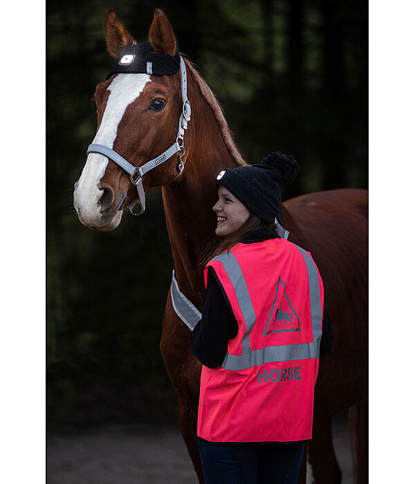 LED Head Lamp for Horses