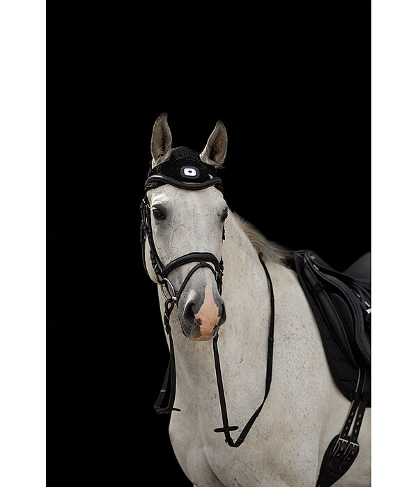 LED Head Lamp for Horses