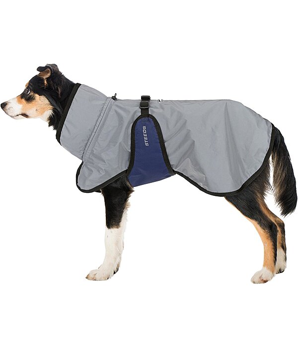 Reflective Dog Coat Highlight