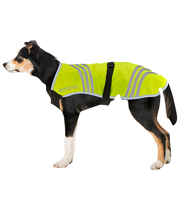 Hi-Vis Dog Coat Bright