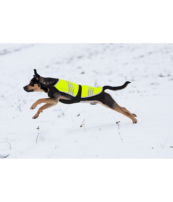 Hi-Vis Dog Coat Bright