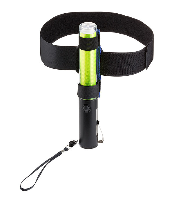 LED Light Rod