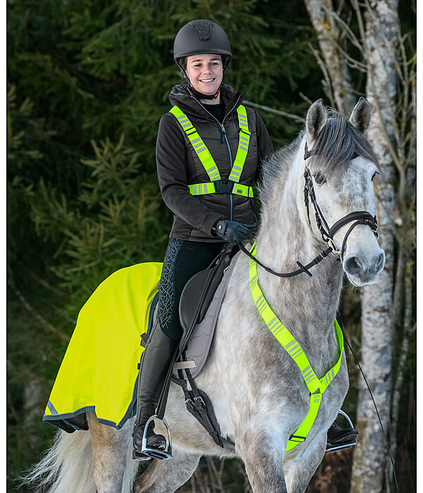 Reflective Harness Stripes