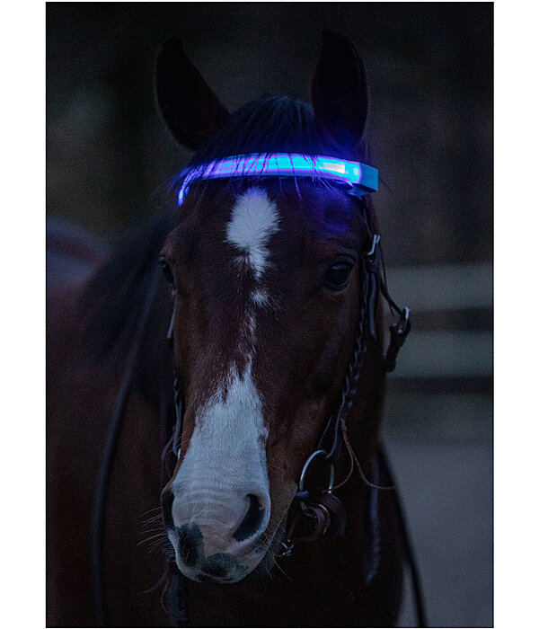 LED Browband Loom