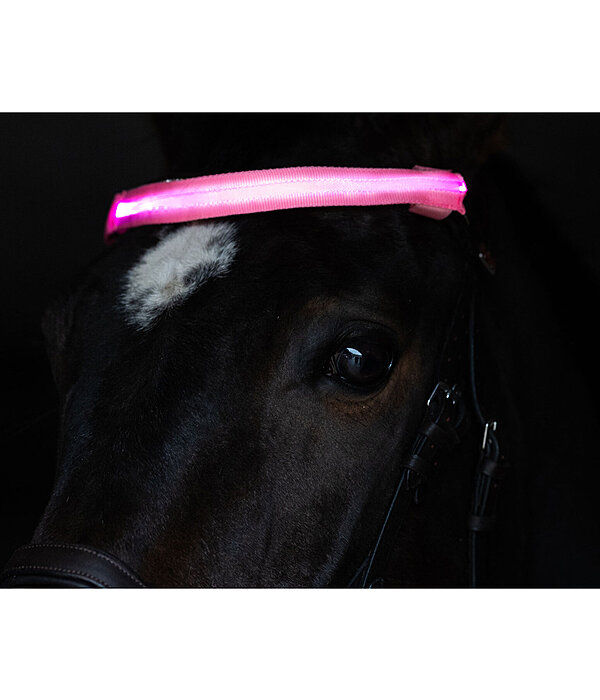 LED Browband Loom