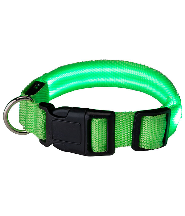 LED Dog Collar Loom