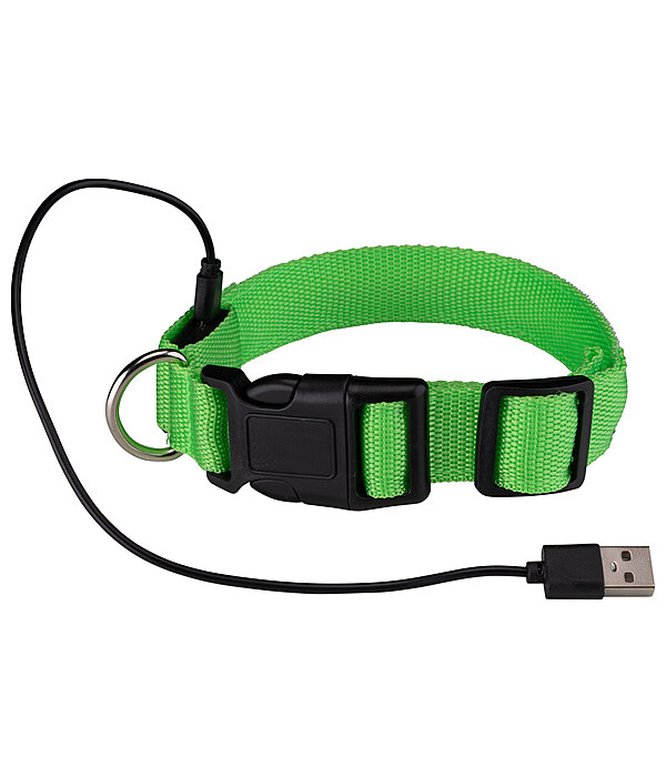 LED Dog Collar Loom