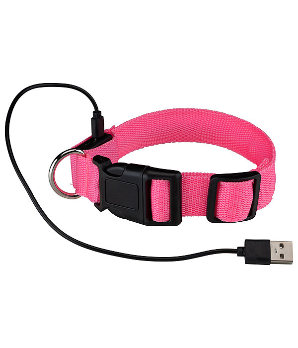 LED Dog Collar Loom