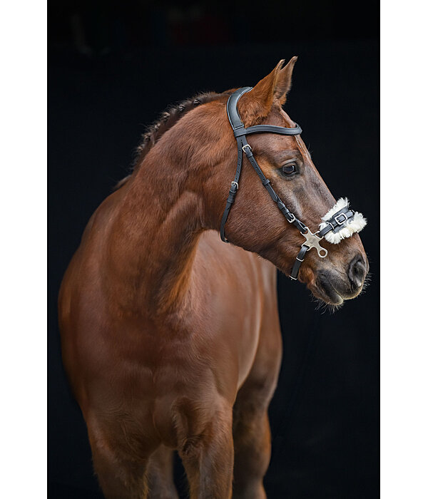 Hackamore with Fur Padding