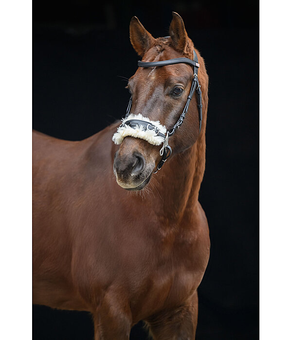 Hackamore with Fur Padding