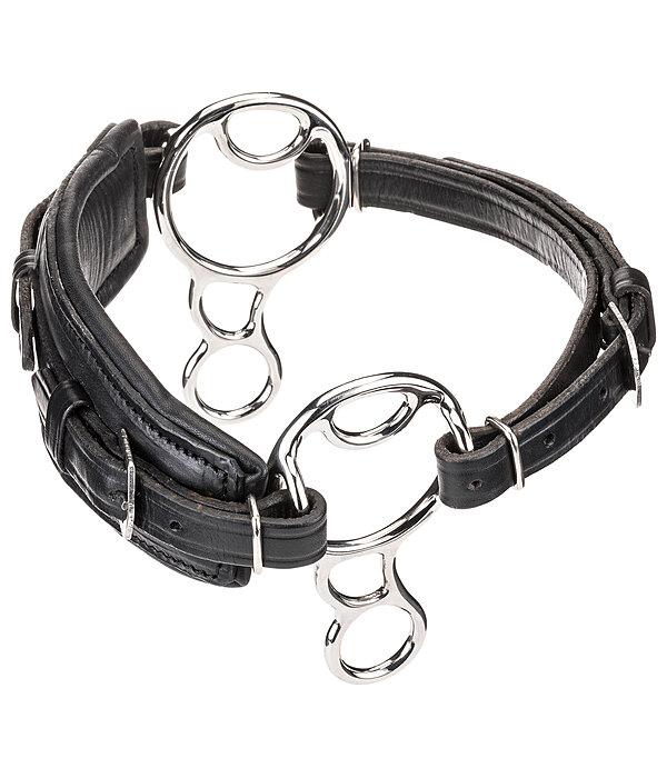 Bitless Bridle