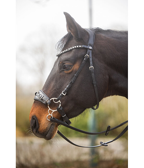 Bitless Bridle