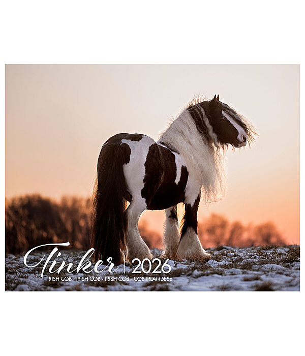 Irish Cob Calender 2026