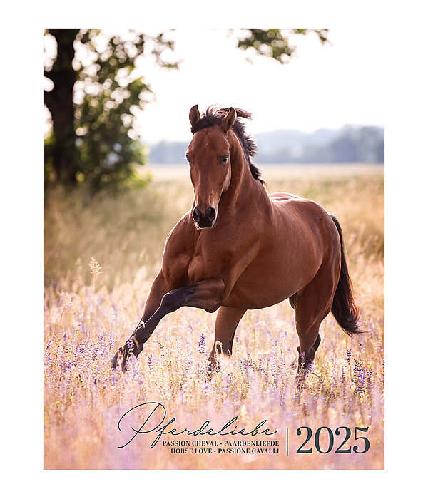 Horse Love Calendar 2026