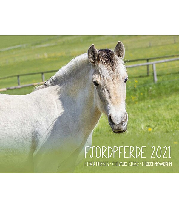 Fjord Horses Calendar 2019 Calendars Kramer Equestrian