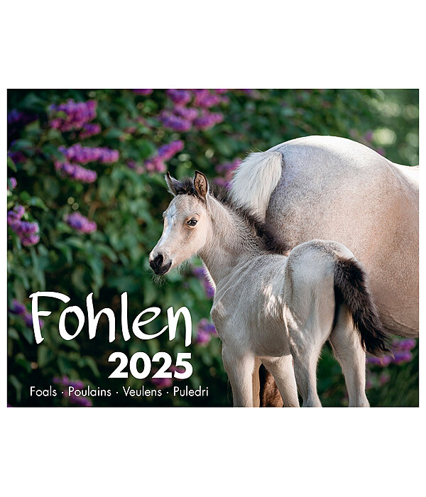 Foals Calendar 2024