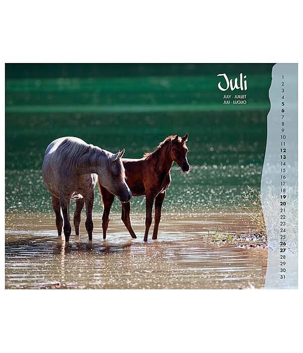 Foals Calendar 2024
