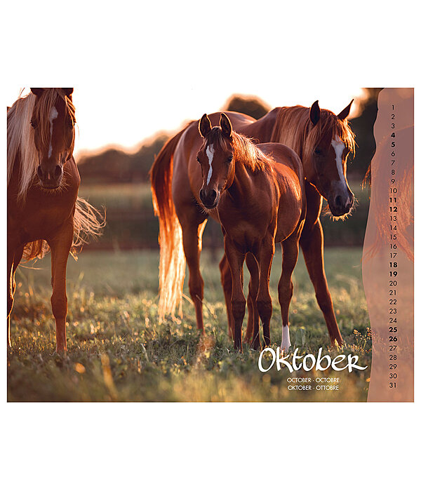 Foals Calendar 2024