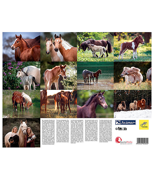 Foals Calendar 2024