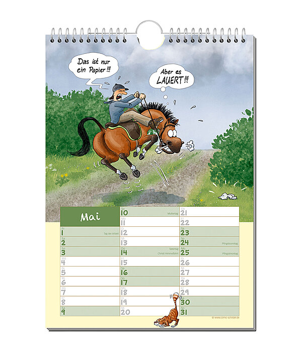 Horse Tales: Comic Calendar 2026