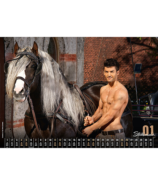 Stable Boys 2024