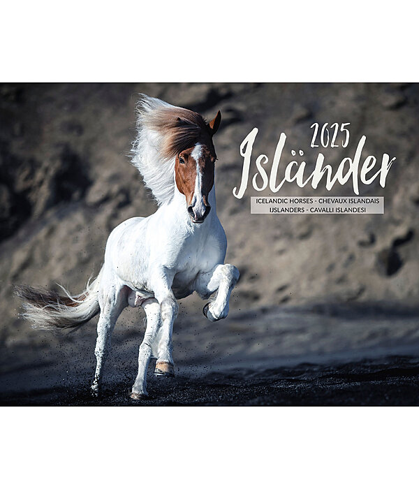 Icelandic Horse Calendar 2024