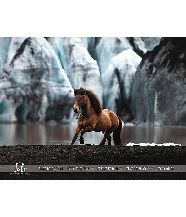 Icelandic Horse Calendar 2024
