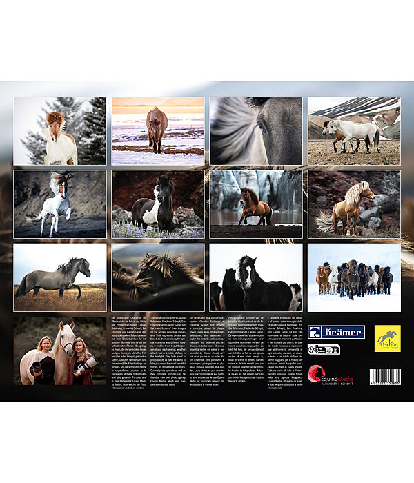 Icelandic Horse Calendar 2024