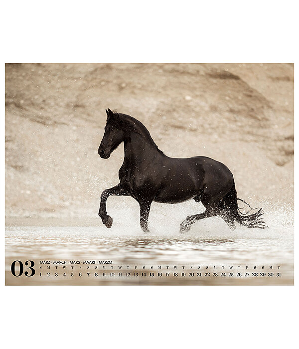 Friesian Horse Calendar 2026