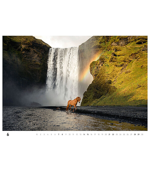 Icelandic Horse Calendar 2024 - Calendars - Kramer Equestrian