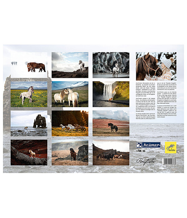 Icelandic Horse Calendar 2025 Gifts Kramer Equestrian