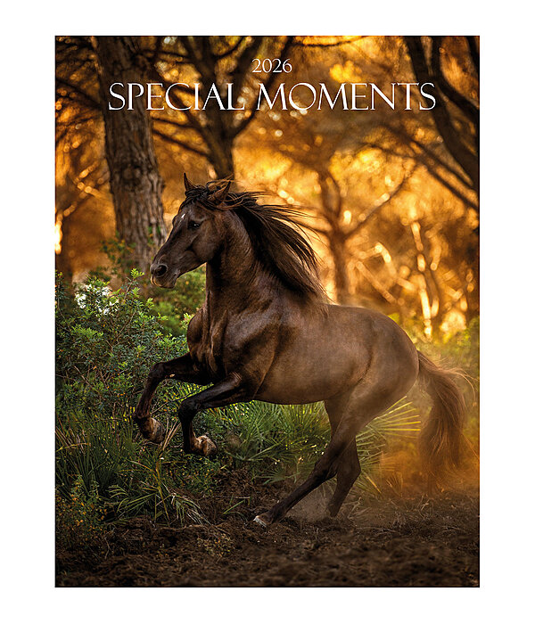 Special Moments Calendar 2025