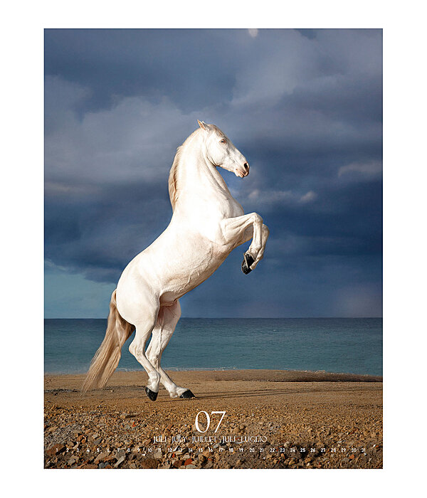 Special Moments Calendar 2025