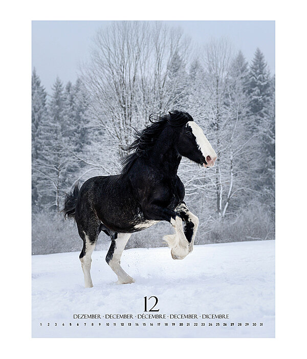 Special Moments Calendar 2025