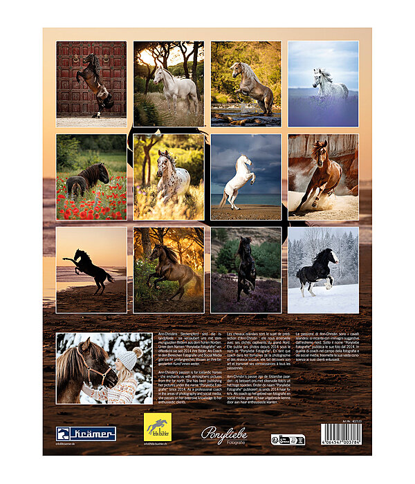 Special Moments Calendar 2025