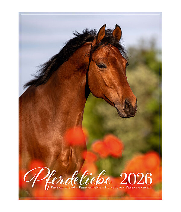 Pony Calendar 2026