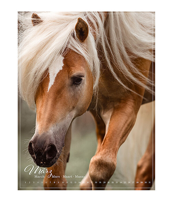 Pony Calendar 2026